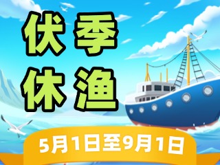 2025年威海伏季休漁政策發(fā)布！